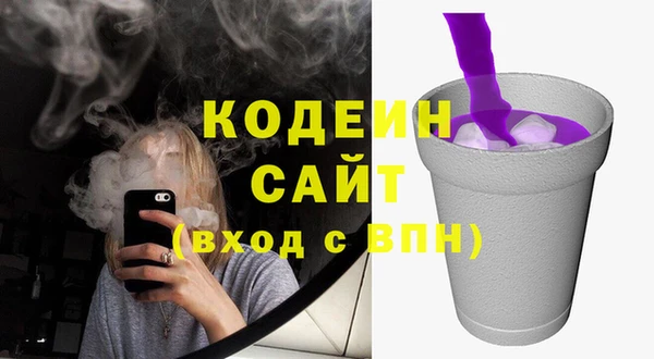 тгк Каменка