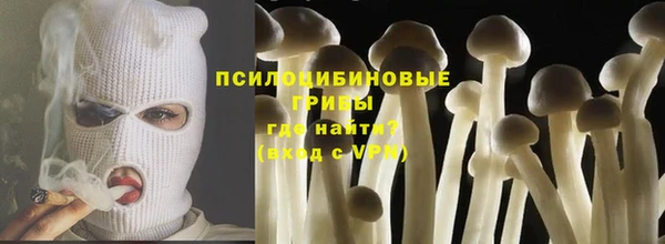 ПСИЛОЦИБИНОВЫЕ ГРИБЫ Каменногорск