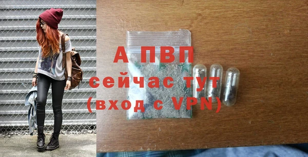 тгк Каменка