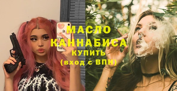 тгк Каменка