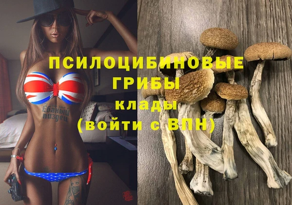 ПСИЛОЦИБИНОВЫЕ ГРИБЫ Инсар