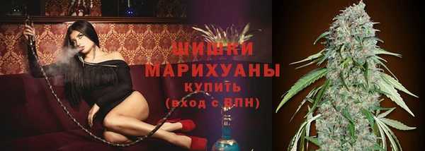 тгк Каменка