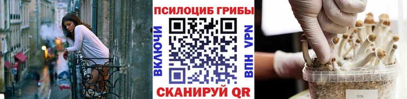 Купить  Нытва  Псилоцибиновые грибы прущие грибы 